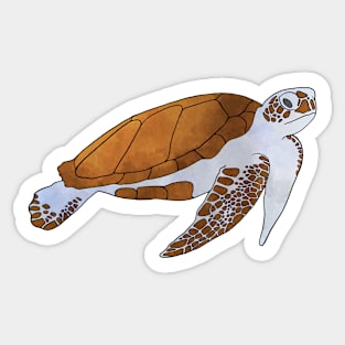 Sea Turtle Watercolor Illustration Sticker